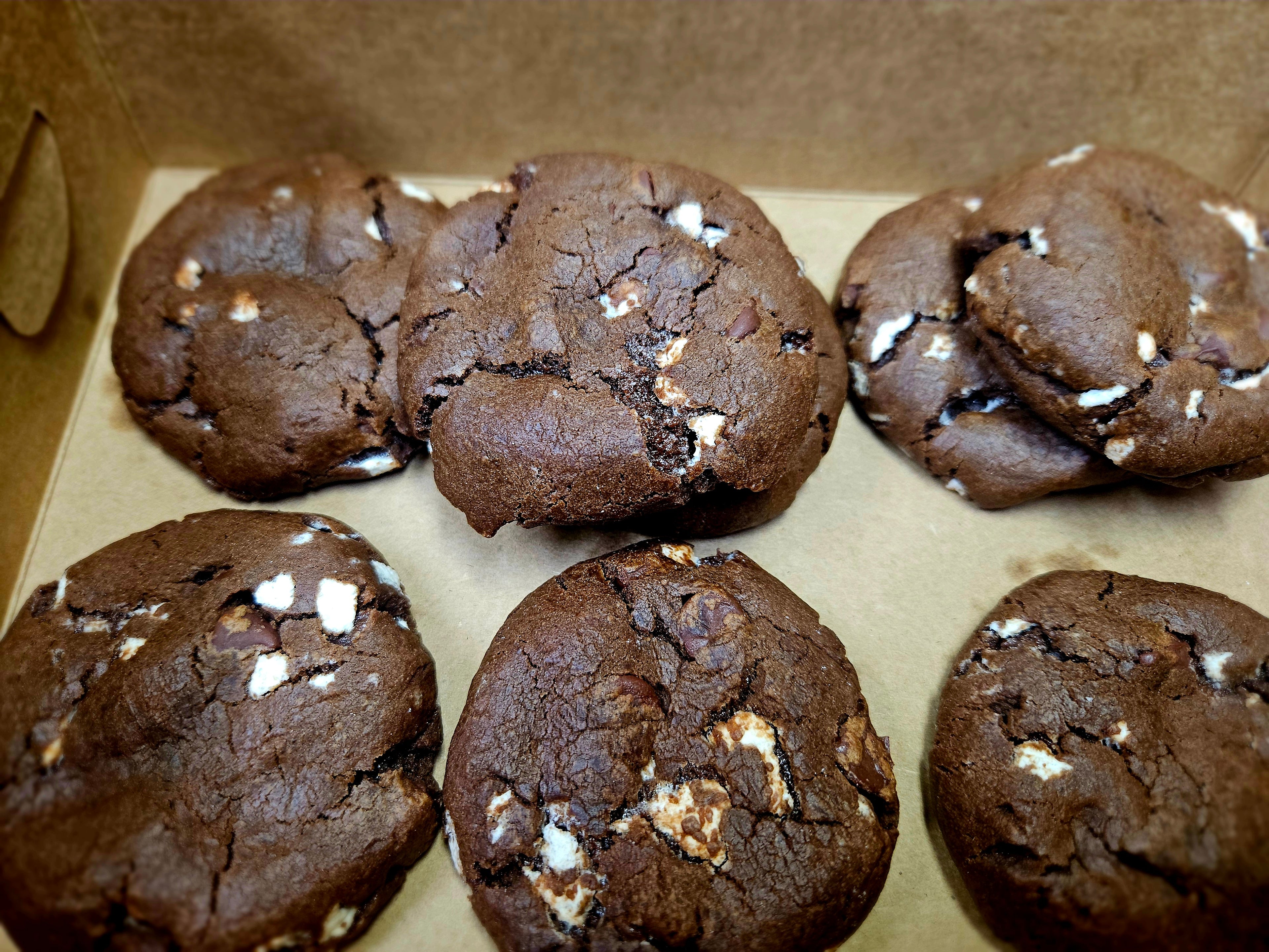 Hot Cocoa Cookies Half Dozen
