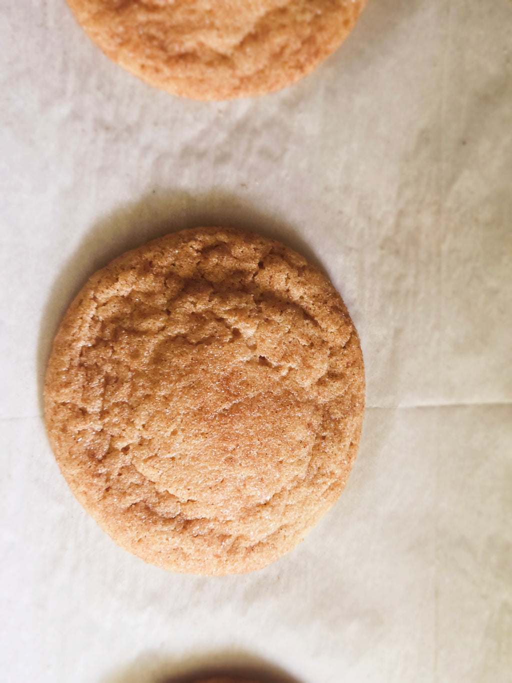 Snicker Doodle Cookies Dozen
