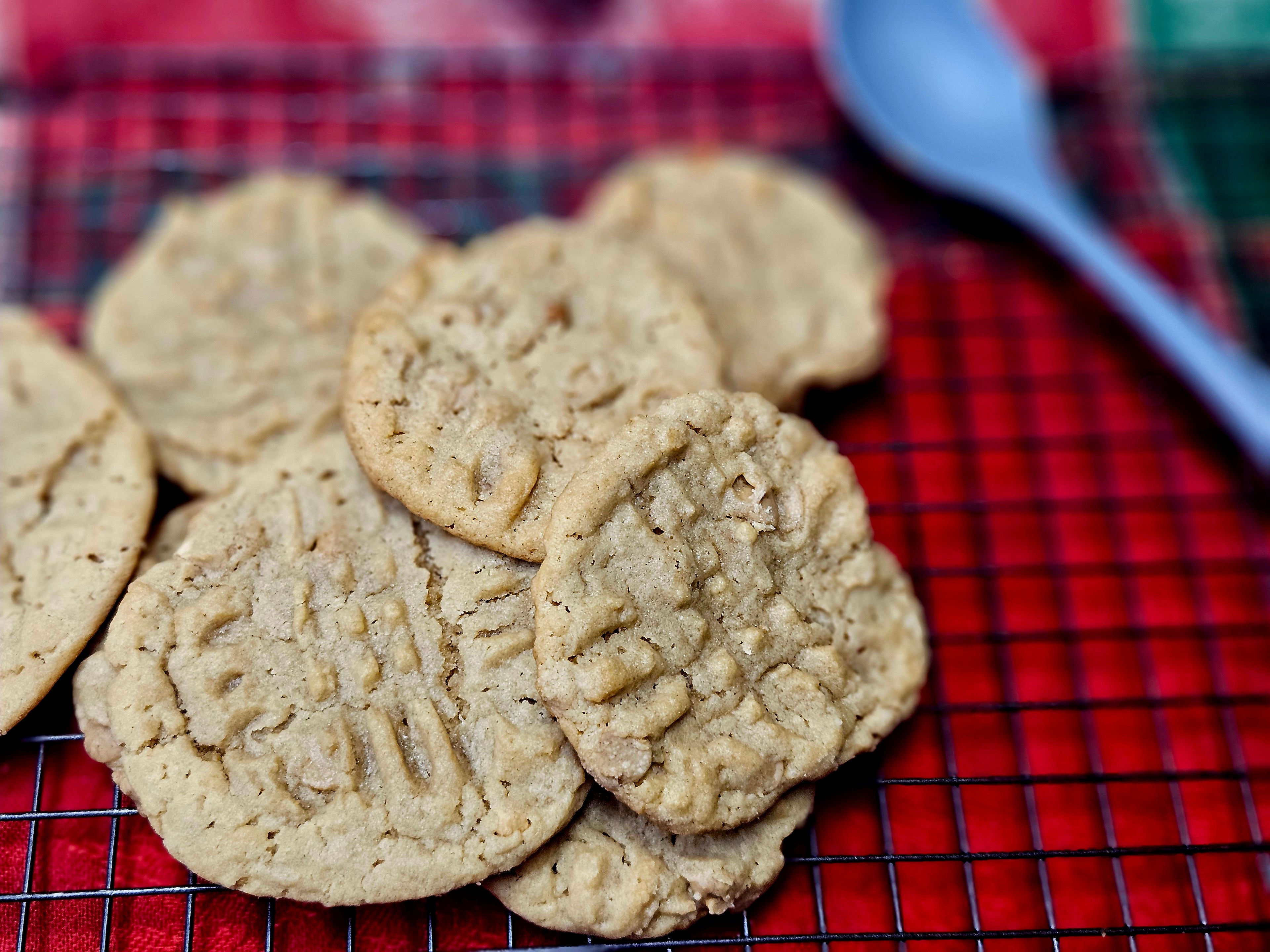 Peanut Butter Cookie Single